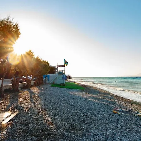 Orange * יאליסוס